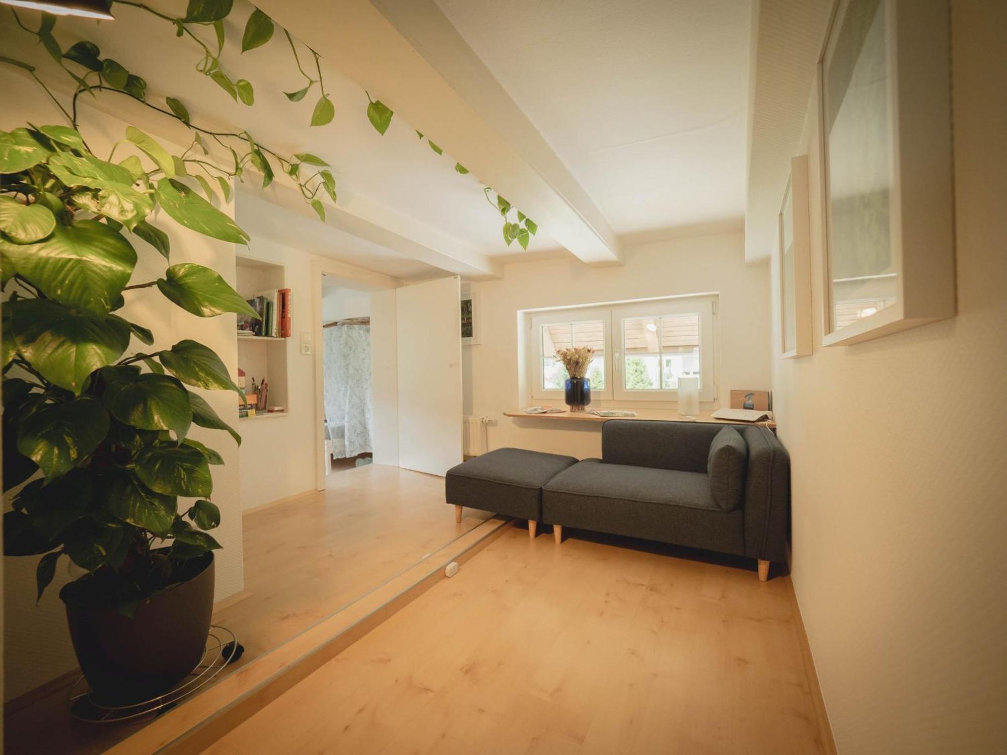 Siebenfelsen Holiday home *