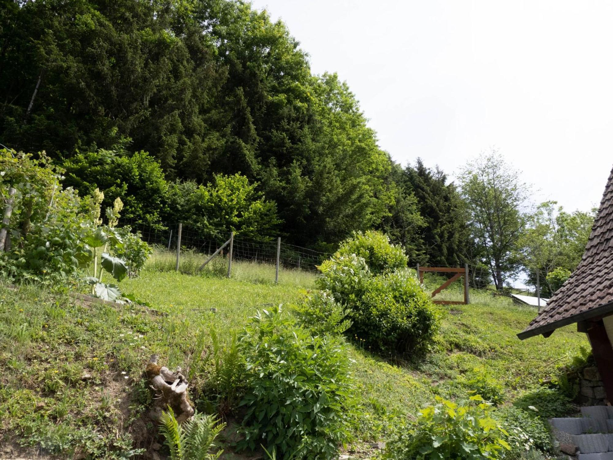 Siebenfelsen